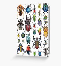 Beetle Collection Greeting Card