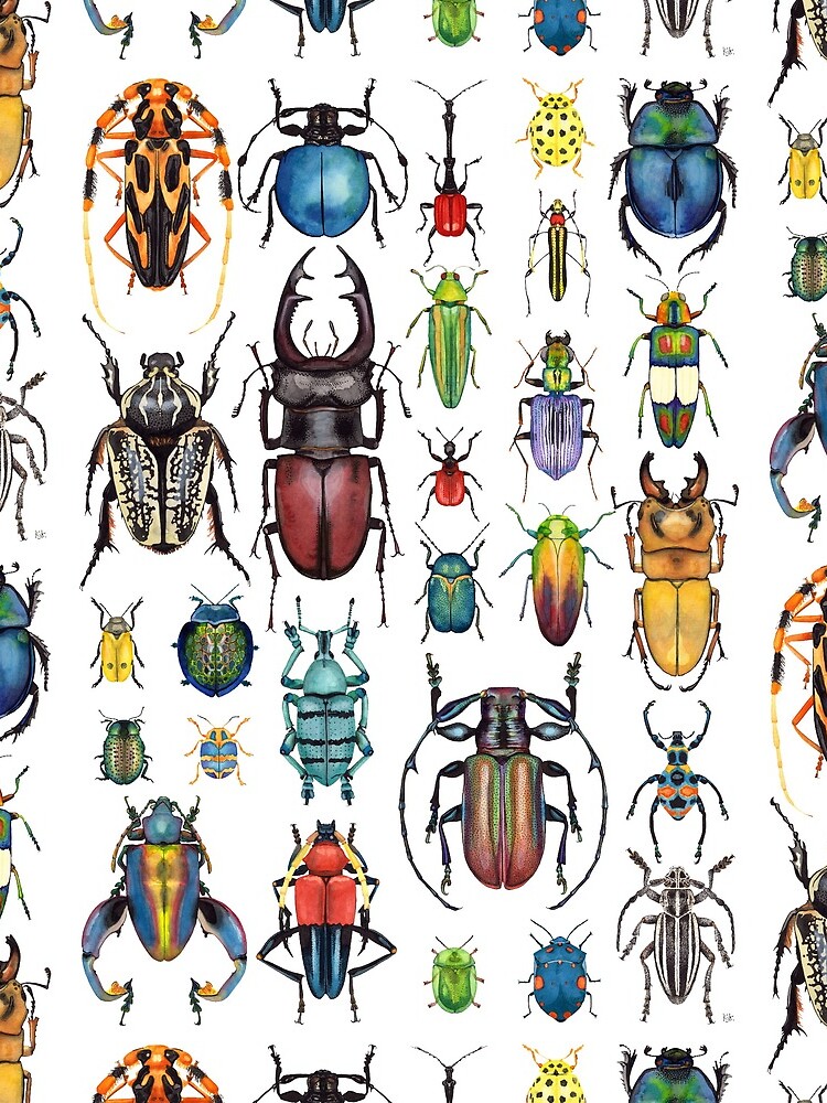 Beetle Collection by KellyJadeART
