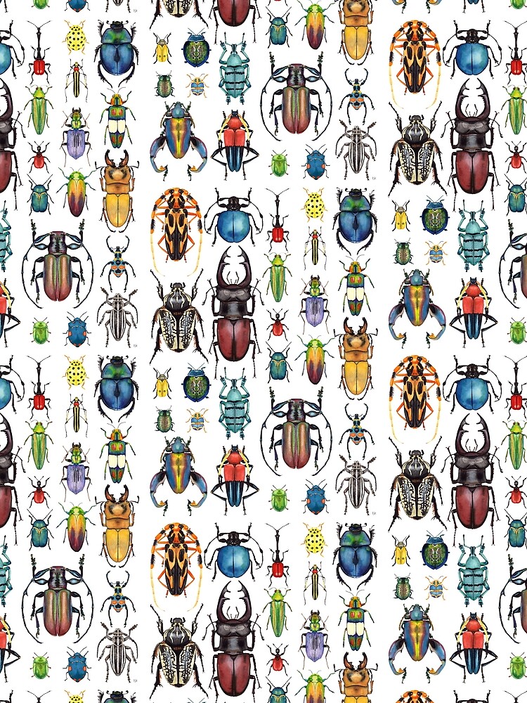 Beetle Collection by KellyJadeART