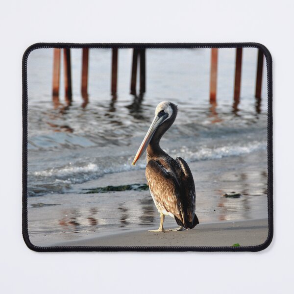 Item preview, Serenity at Sunset: Pelican on the Peruvian Shore designed and sold by franck380.