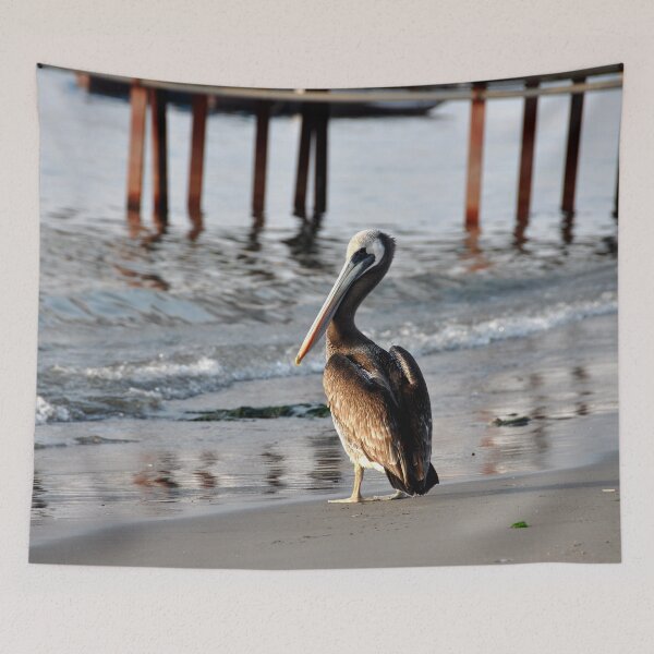 Item preview, Serenity at Sunset: Pelican on the Peruvian Shore designed and sold by franck380.