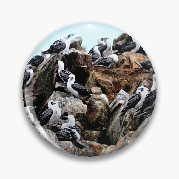 Item preview, Peru - Paracas - The Ballestas Islands, Birds designed and sold by franck380.
