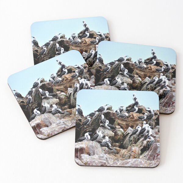 Item preview, Peru - Paracas - The Ballestas Islands, Birds designed and sold by franck380.