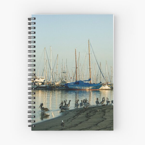Item preview, Santa Barbara California Brown Pelican Marina designed and sold by Georgia Mizuleva.