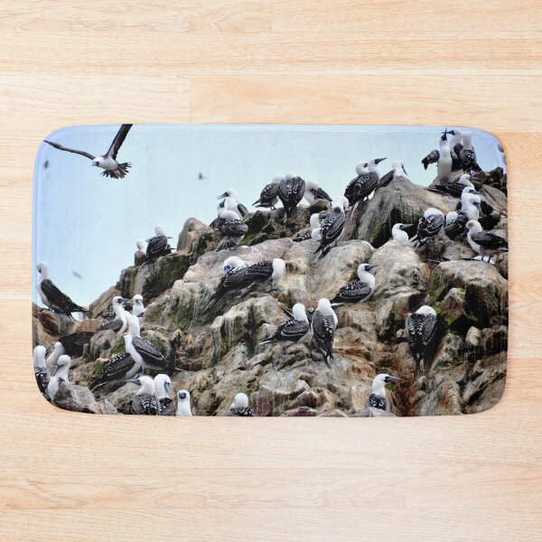 Item preview, Peru - Paracas - The Ballestas Islands, Birds designed and sold by franck380.