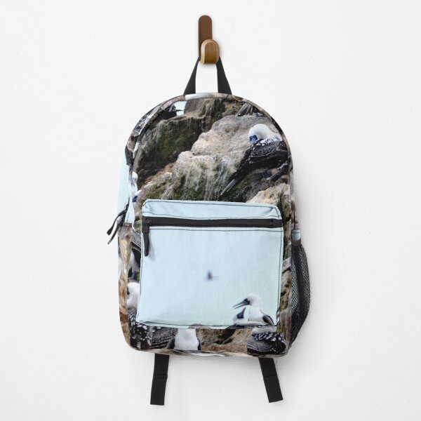 Item preview, Peru - Paracas - The Ballestas Islands, Birds designed and sold by franck380.