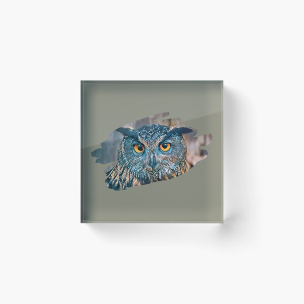 Item preview, Owl Eyes Art Print. For an owl lover, for a bird watcher, for a nature lover. designed and sold by Wentoo.