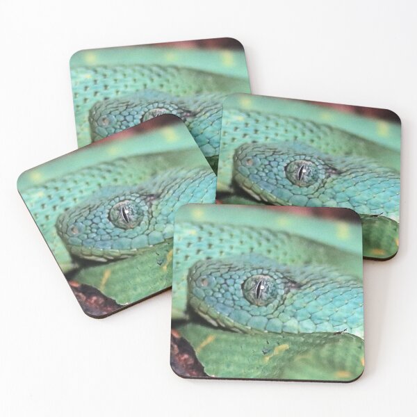 Item preview, BUSH VIPER 3 designed and sold by BOLLA67.