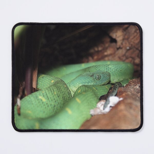 Item preview, BUSH VIPER 2  designed and sold by BOLLA67.