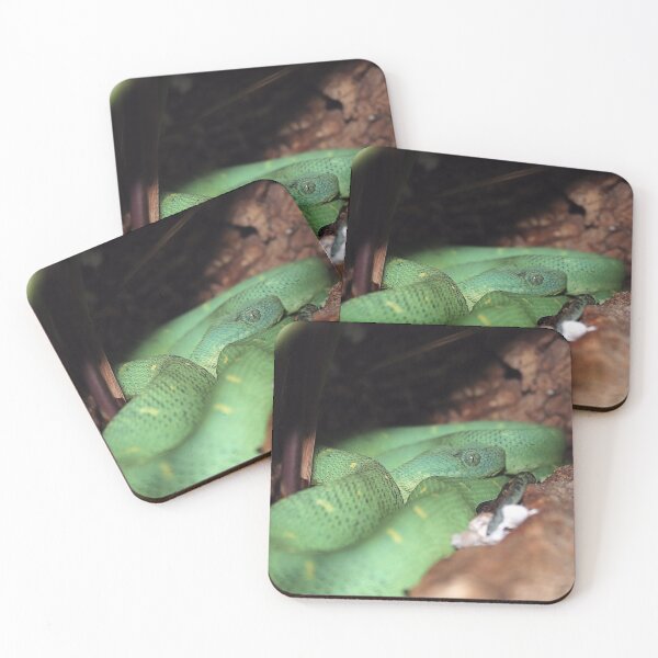 Item preview, BUSH VIPER 2  designed and sold by BOLLA67.
