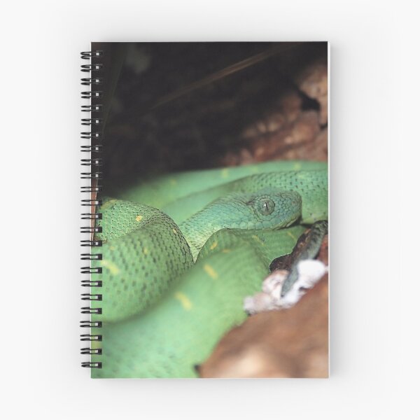 Item preview, BUSH VIPER 2  designed and sold by BOLLA67.