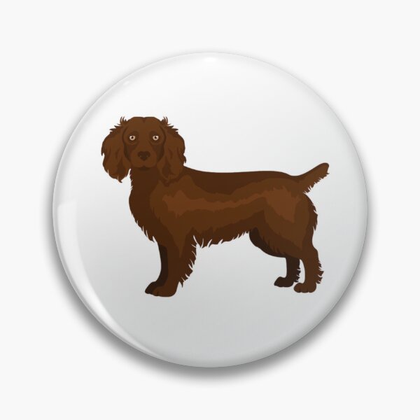 Item preview, BOYKIN ONE designed and sold by GoldeneyeGundog.