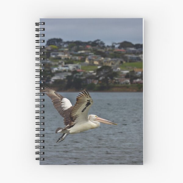 Item preview, Flight of the Pelican designed and sold by GaryParnell.