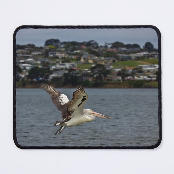 Item preview, Flight of the Pelican designed and sold by GaryParnell.