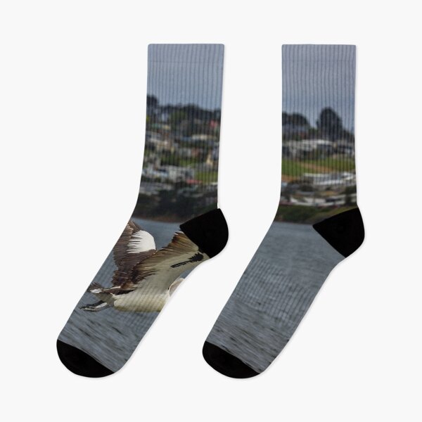 Item preview, Flight of the Pelican designed and sold by GaryParnell.