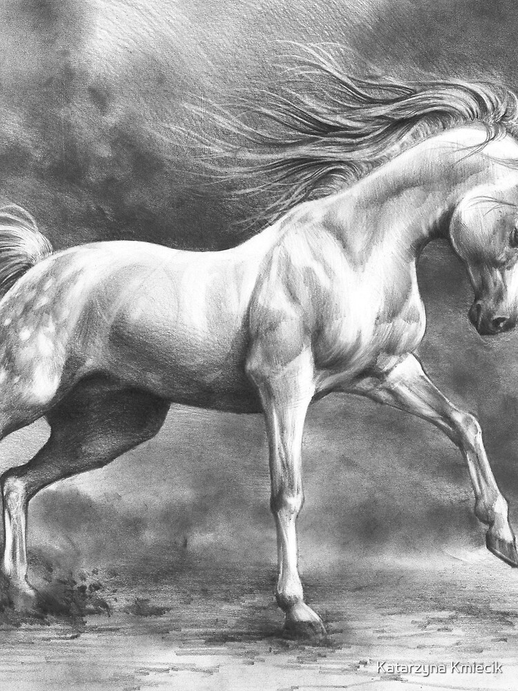 Horse Running Drawing 16 | Horse running drawing, Running drawing, Horse  sketch