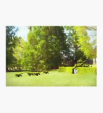 Ladew's Topiary Hunt Photographic Print