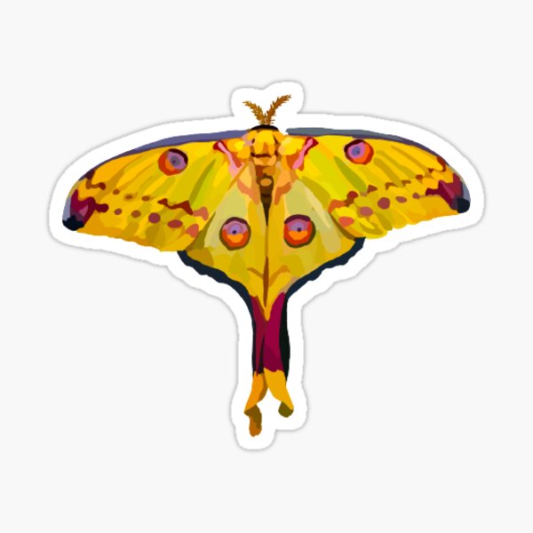 Astral Moth Sticker