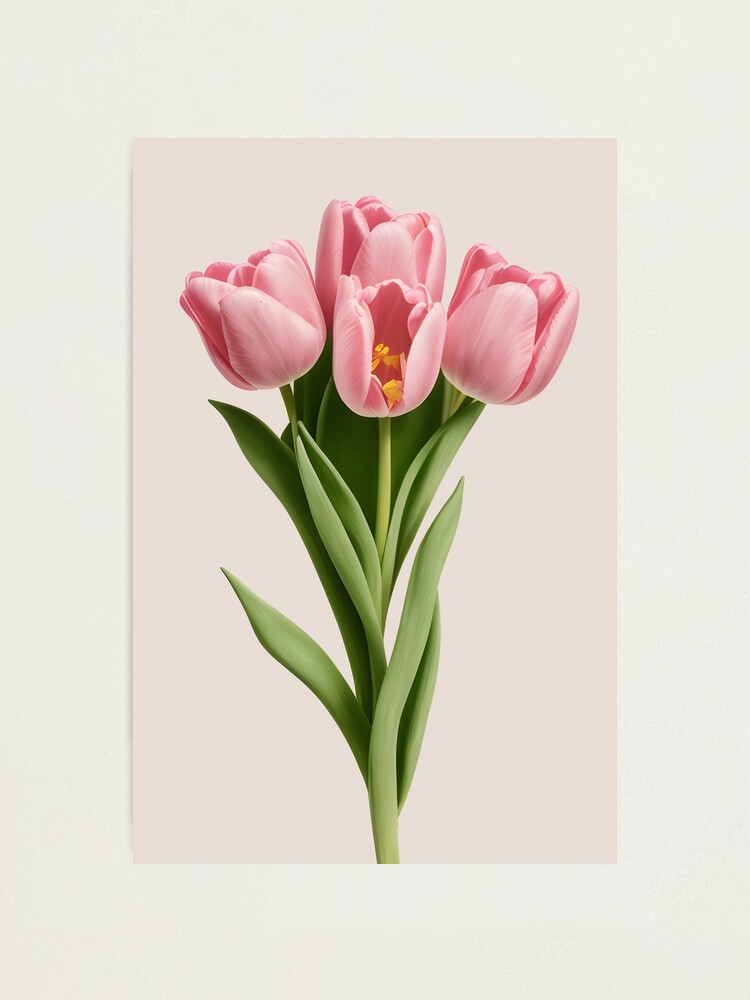 PINK TULIPS Botanical Print