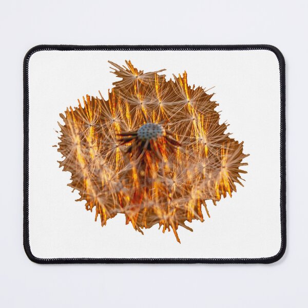 Item preview, Backlit Dandelion Clock designed and sold by Dalyndigital Photography.