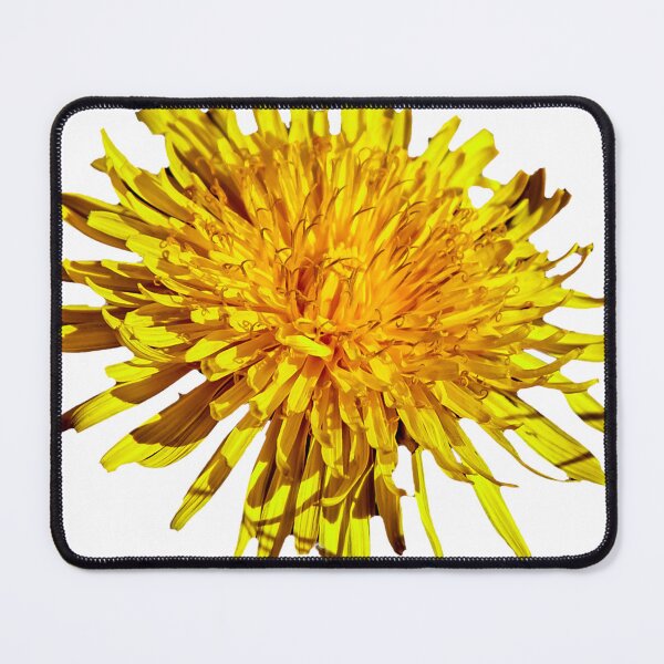 Item preview, Dandelion flower designed and sold by Dalyndigital Photography.