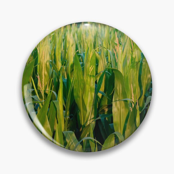 Item preview, Corn Field designed and sold by jojobob.