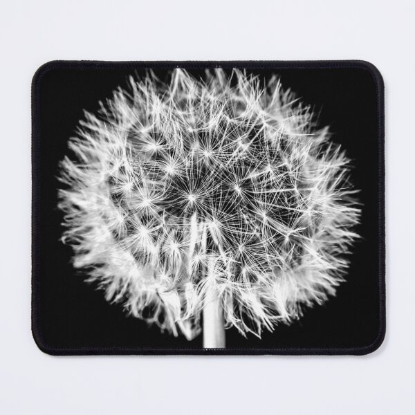 Item preview, Dandelion Clock designed and sold by Dalyndigital Photography.