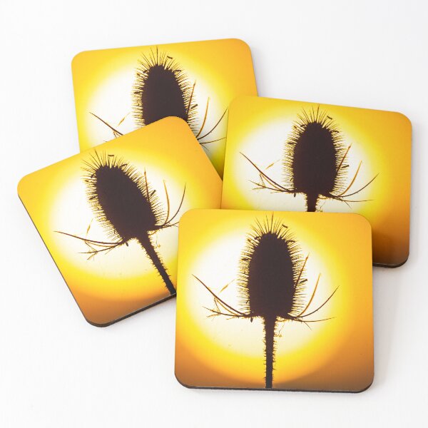 Item preview, Back lit teasel  at sunset designed and sold by Dalyndigital Photography.