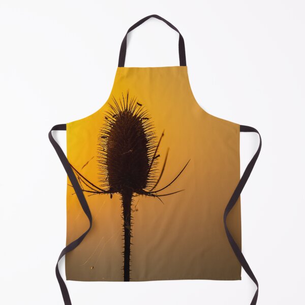Item preview, Teasel at sunset designed and sold by Dalyndigital Photography.