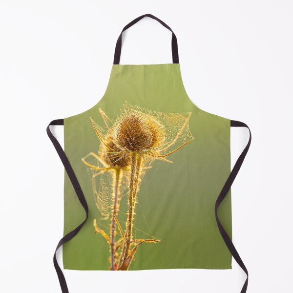 Item preview, Teasels with cobwebs designed and sold by Dalyndigital Photography.