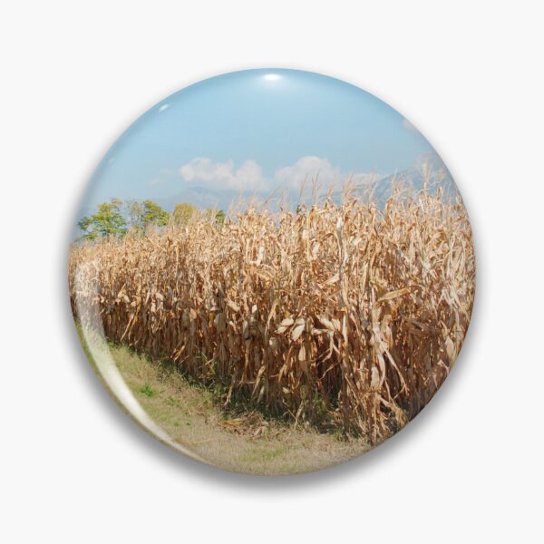 Item preview, Dried Corn Field designed and sold by jojobob.