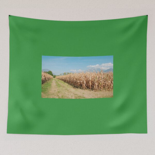 Item preview, Dried Corn Field designed and sold by jojobob.