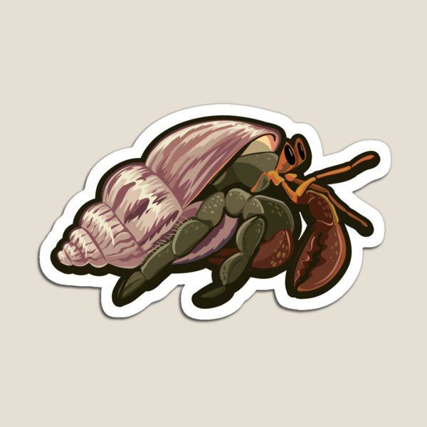 hermit crab Magnet