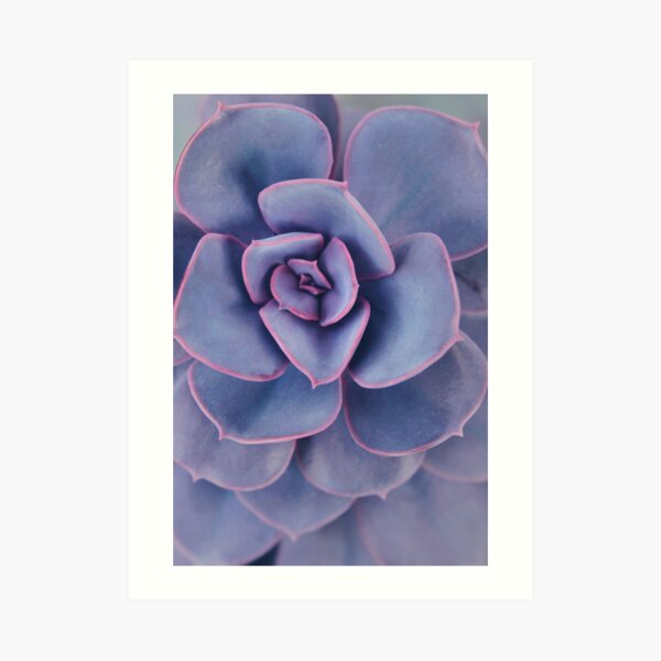 Purple Pearl Art Print