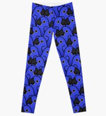 Too Many Birds! - Hyancinth Macaw Leggings