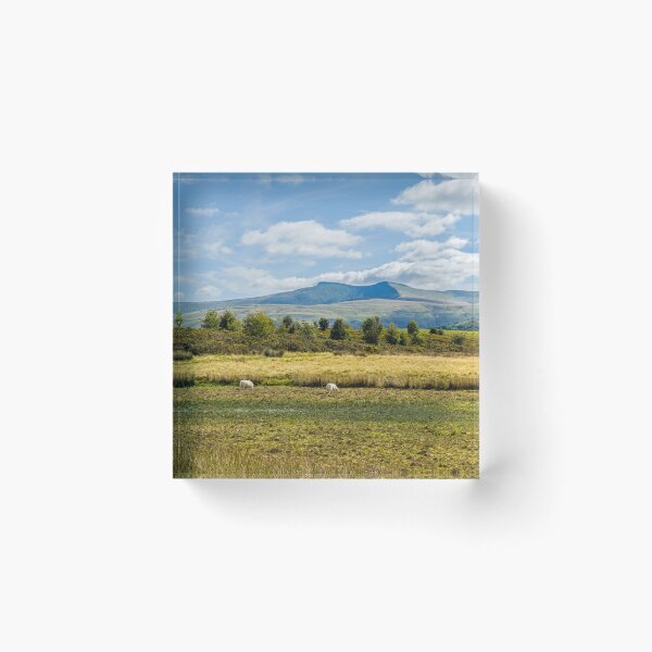 Item preview, Pen y Fan and Corn Du from Mynydd Illtyd Common Brecon Beacons designed and sold by Cameranick.
