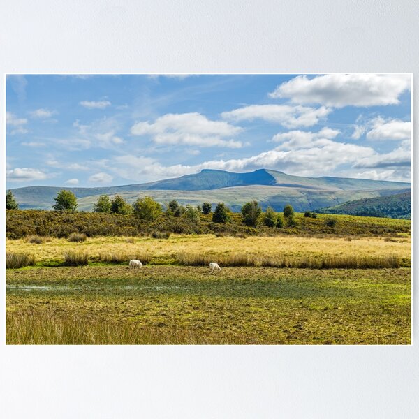 Item preview, Pen y Fan and Corn Du from Mynydd Illtyd Common Brecon Beacons designed and sold by Cameranick.