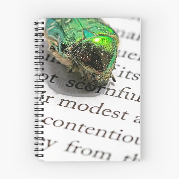Item preview, The Reading Bug designed and sold by John Thurgood.