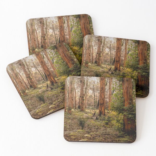 Item preview, Warm Light Boranup Forest designed and sold by Images by Chris de Blank.