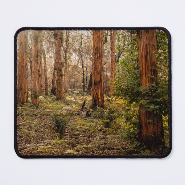 Item preview, Warm Light Boranup Forest designed and sold by Images by Chris de Blank.