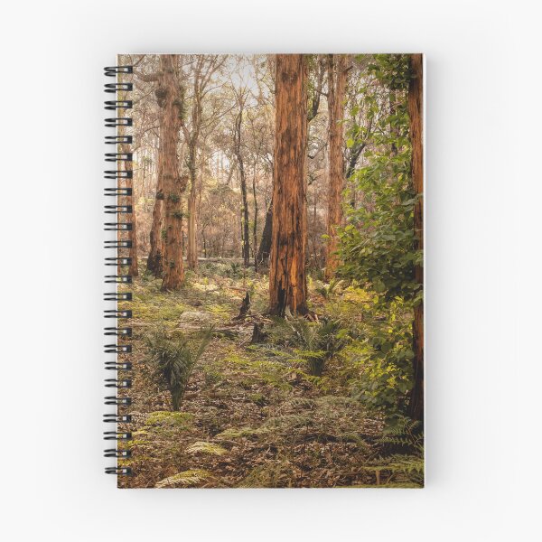 Item preview, Warm Light Boranup Forest designed and sold by Images by Chris de Blank.