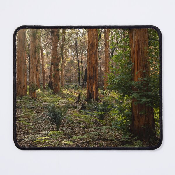 Item preview, Natural look of Boranup Forest designed and sold by Images by Chris de Blank.