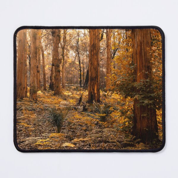 Item preview, Warm Autumn look Boranup Forest designed and sold by Images by Chris de Blank.