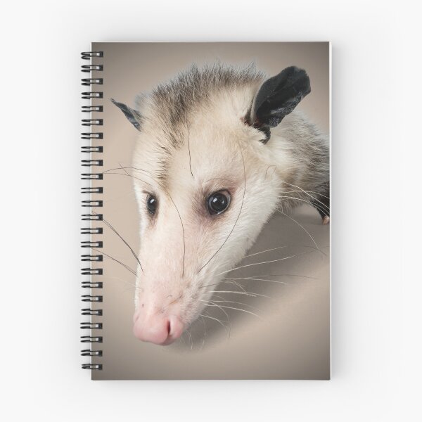 Artikelvorschau, Possum Face Portrait Print – Für einen Possum-Liebhaber, für einen Possum-Besitzer, für ein Tierrettungszentrum. entworfen und verkauft von Wentoo.