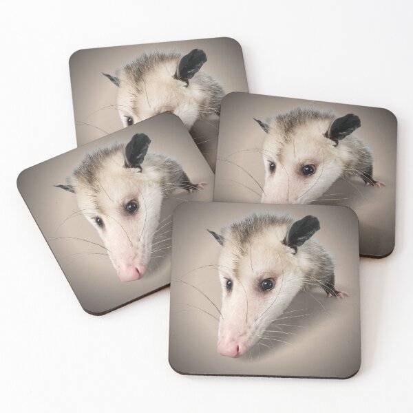 Item preview, Possum Face Portrait Print - For a possum lover, for a possum owner, for an animal rescue center. designed and sold by Wentoo.