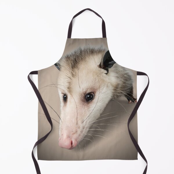 Item preview, Possum Face Portrait Print - For a possum lover, for a possum owner, for an animal rescue center. designed and sold by Wentoo.