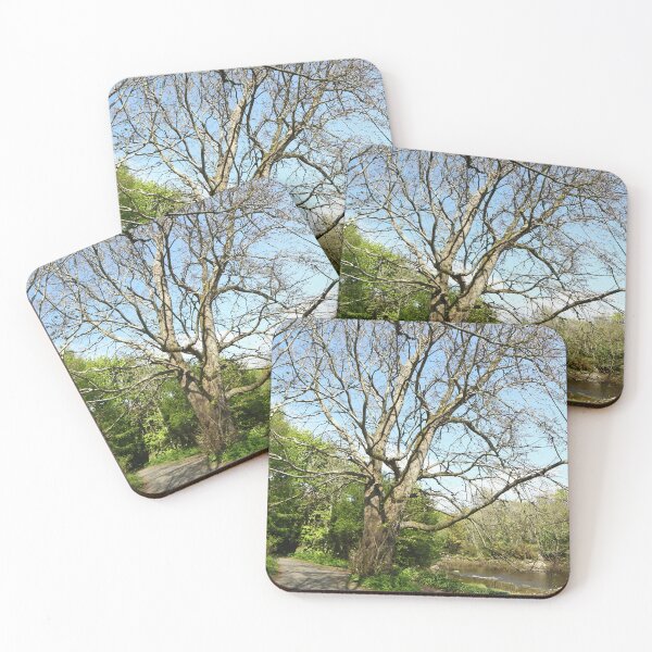 Item preview, Heritage trail river walk tree shadows Buncrana designed and sold by eddiebarronshop.