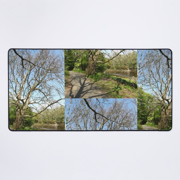 Item preview, Heritage trail river walk tree shadows Buncrana designed and sold by eddiebarronshop.