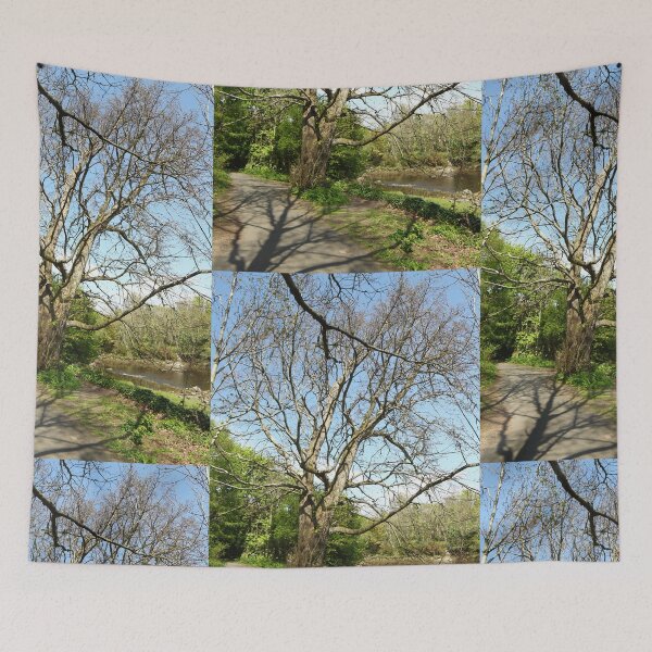 Item preview, Heritage trail river walk tree shadows Buncrana designed and sold by eddiebarronshop.