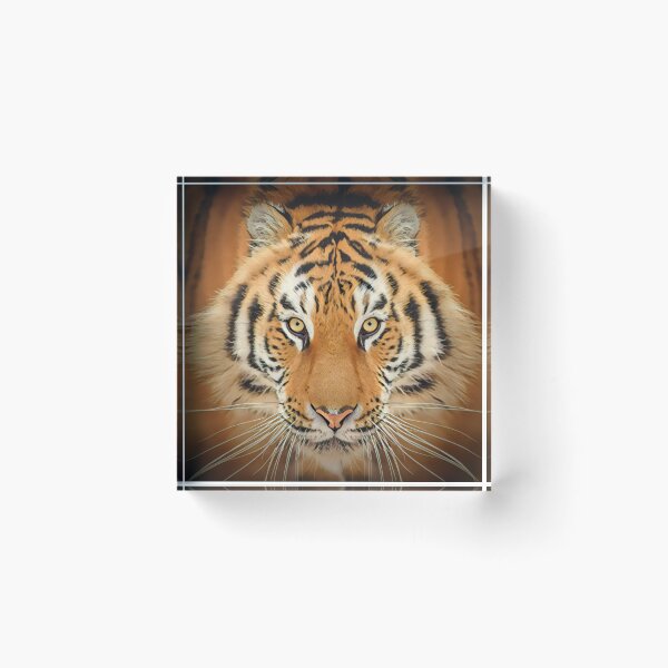 Item preview, Stunning Tiger Face Art Print - For a tiger lover, for a nature lover, for a conservationist. designed and sold by Wentoo.